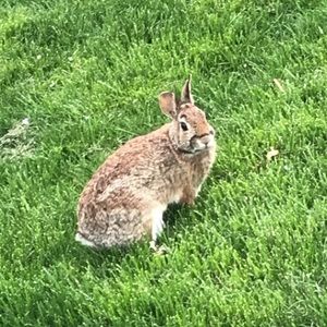 Meet your Posher, Leslie